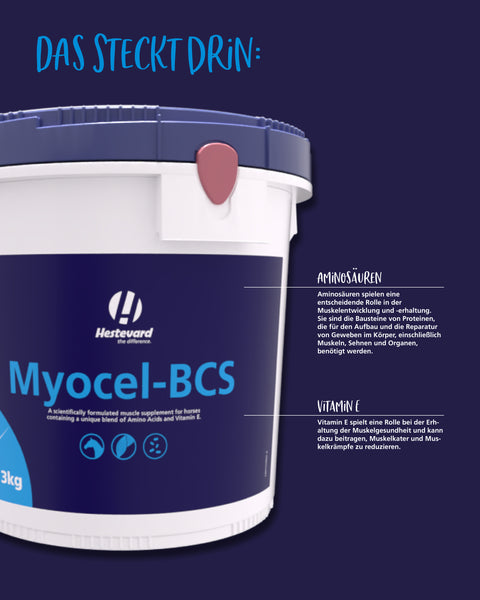 Myocel-BCS