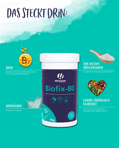 Biofix-80