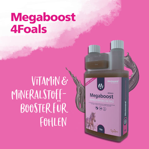 MegaBoost 4 Foals