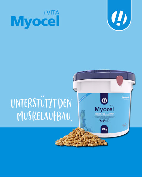 Myocel +VITA
