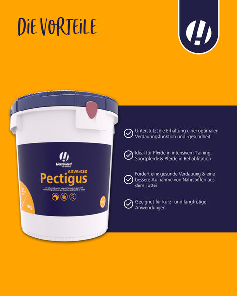 Pectigus ADVANCED