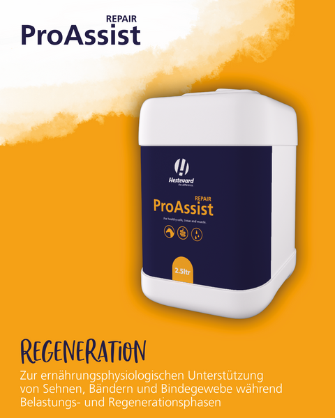 Hestevard ProAssist Repair