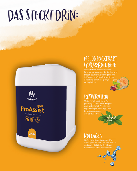 Hestevard ProAssist Repair
