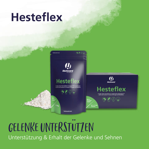 Hesteflex