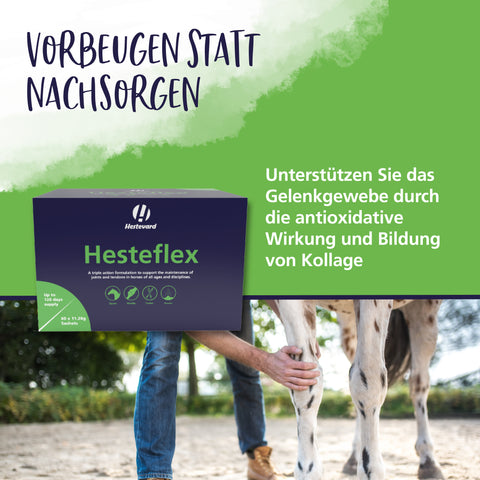 Hesteflex
