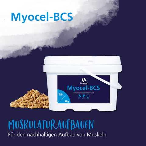 Myocel-BCS