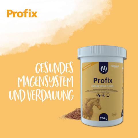 Profix