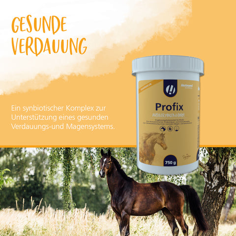 Profix